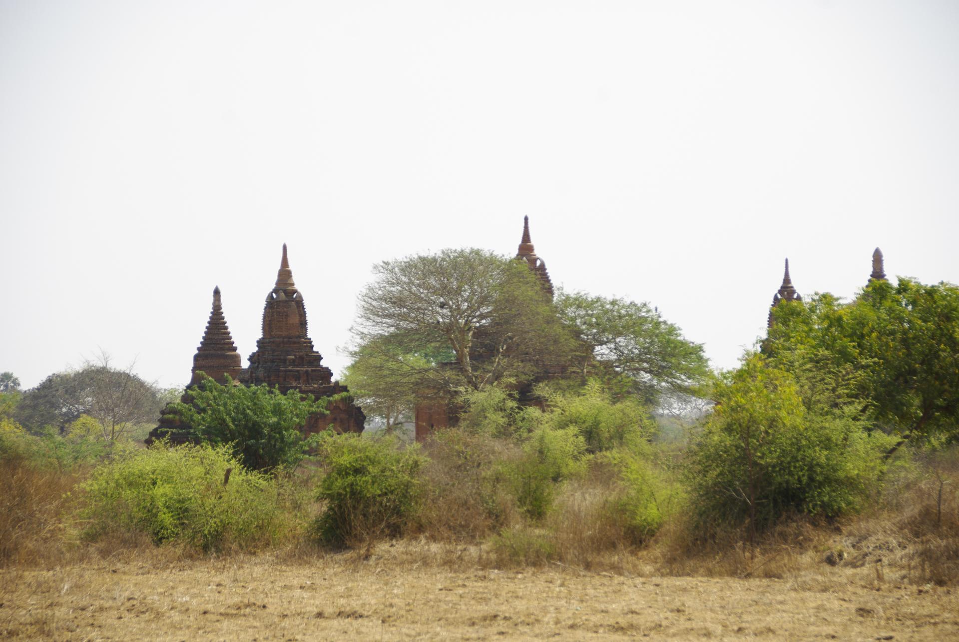 Bagan 9