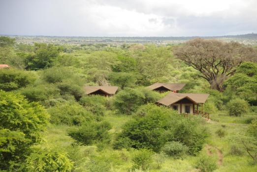 Kilima safari camp 1