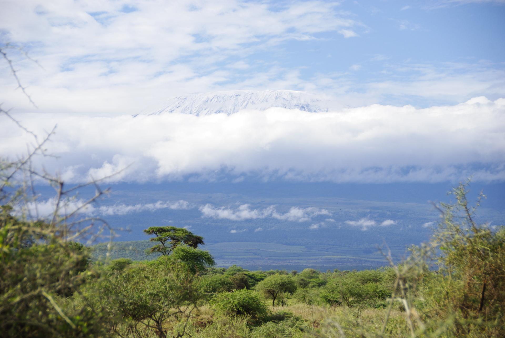 Kilimandjaro 2