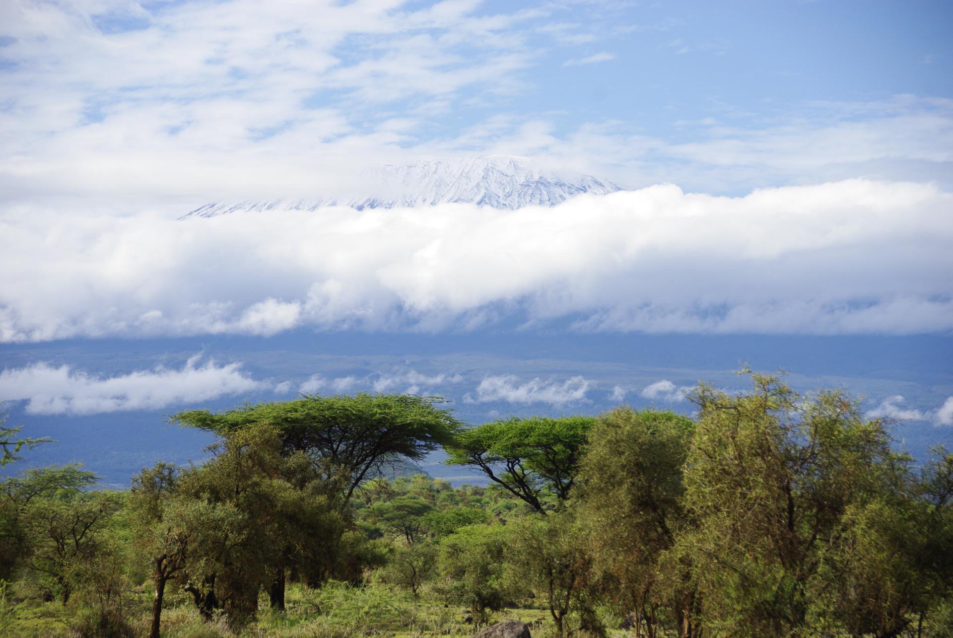 Kilimandjaro 3 1