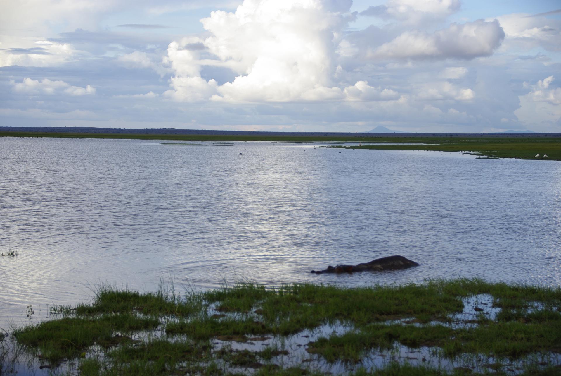 Amboseli 16