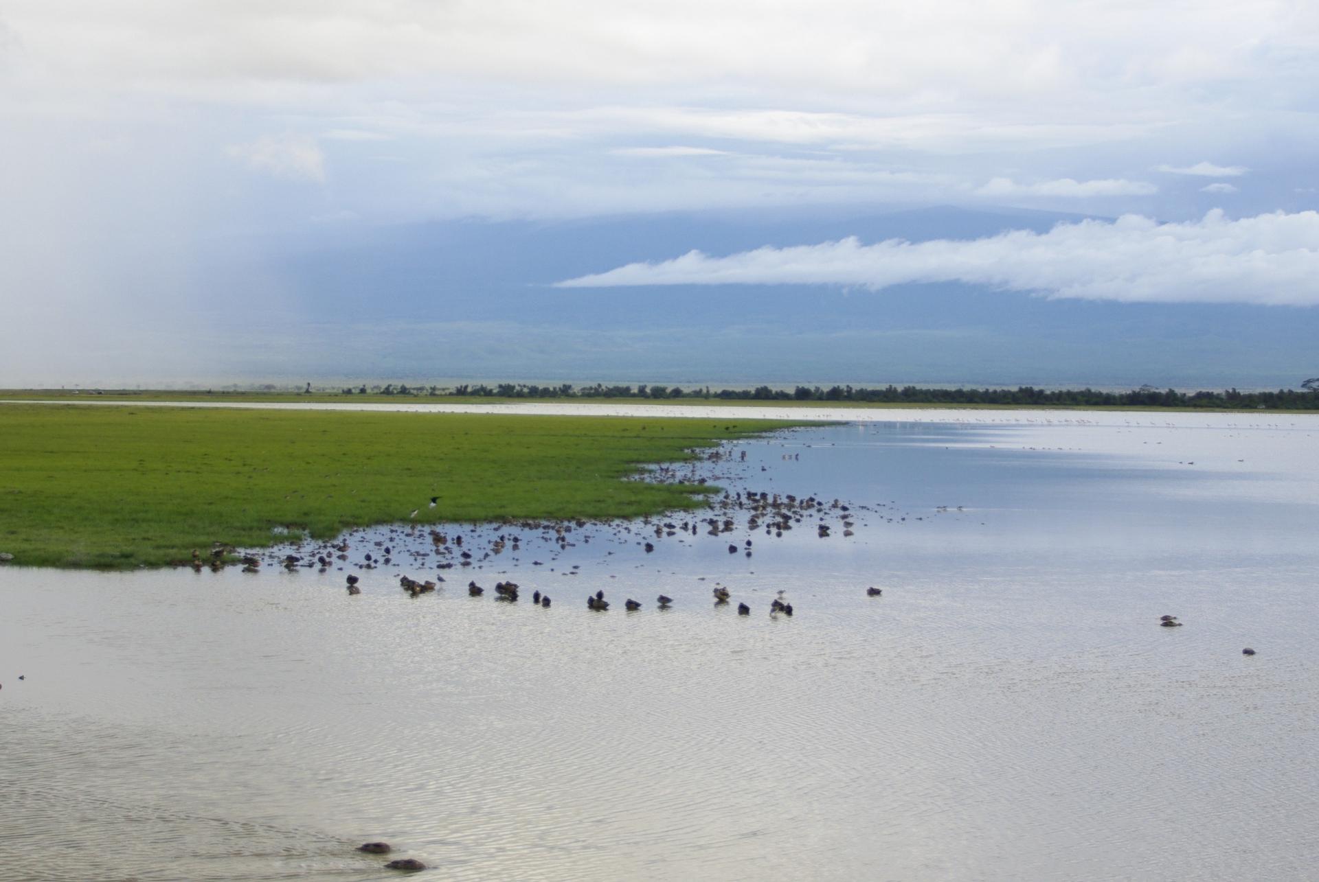 Amboseli 20