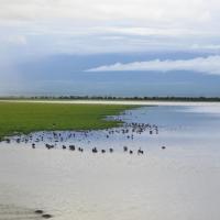 Amboseli 20