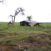 Amboseli 21