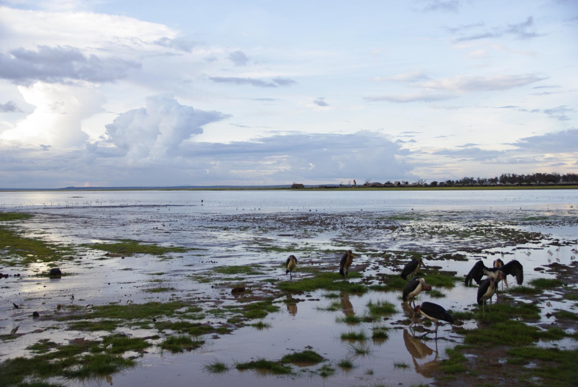 Amboseli 23 1