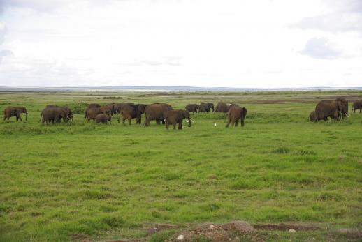 Amboseli 8 2