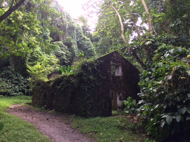 Anse couleuvre 4