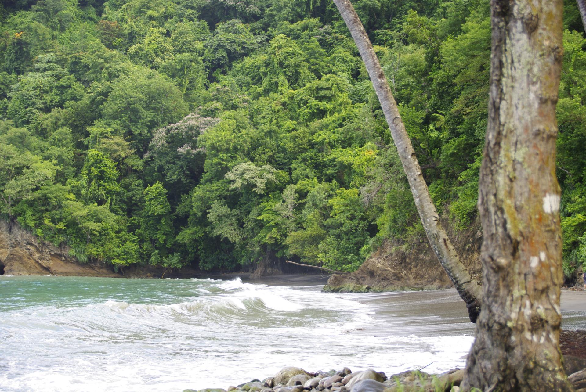 Anse couleuvre