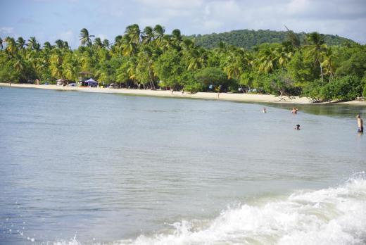 Anse des salines