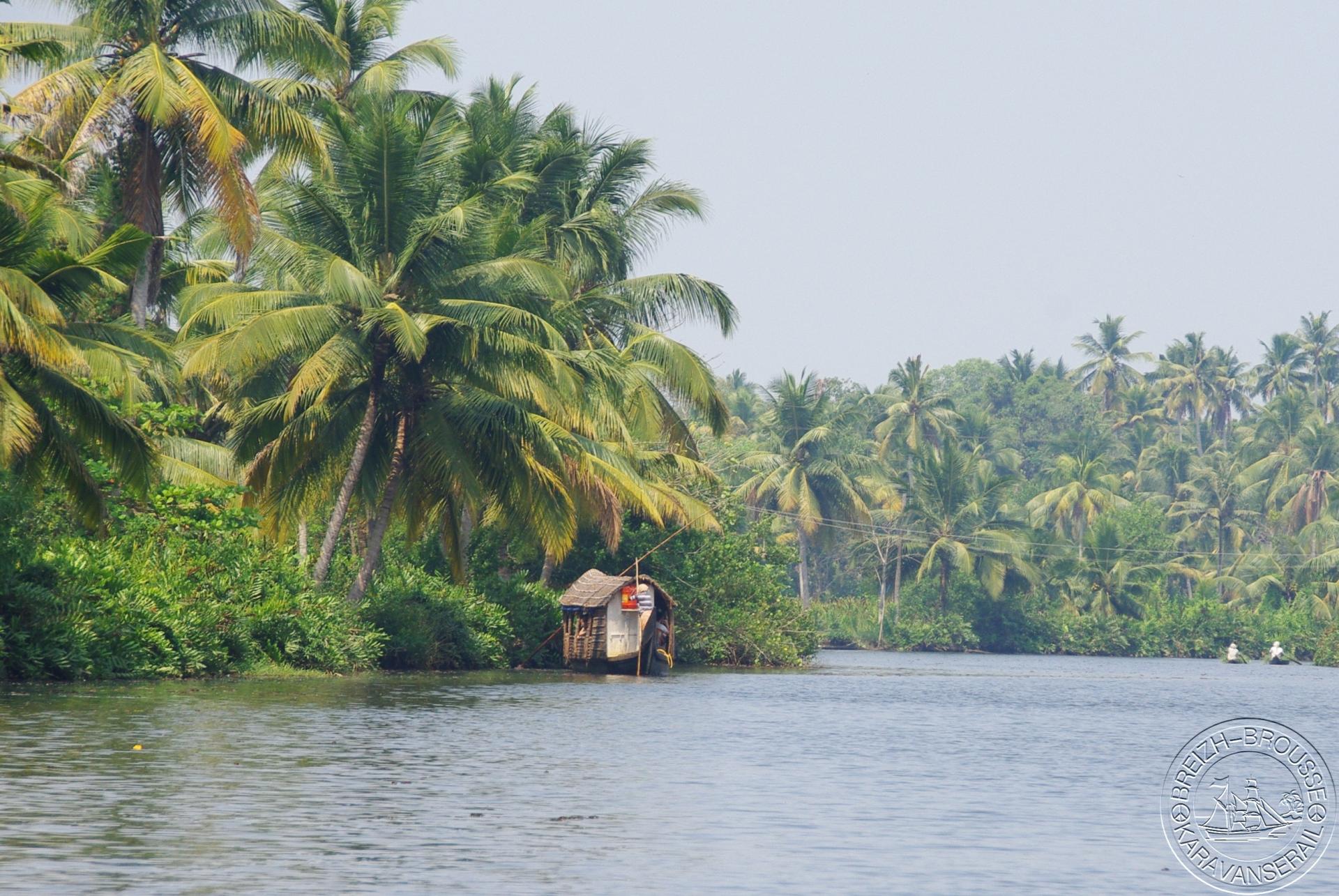 Backwaters 4