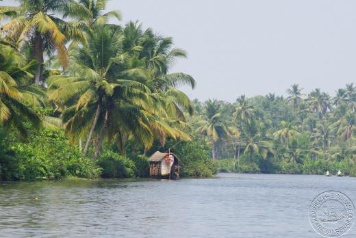 Backwaters