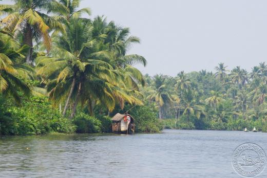 Backwaters