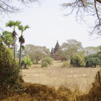 Bagan 14
