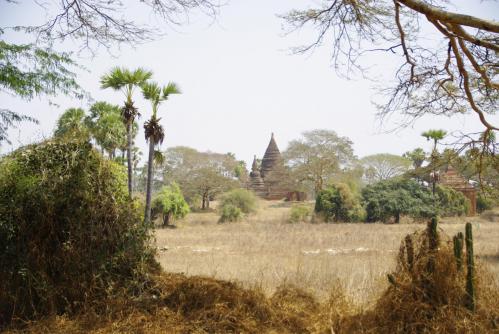 Bagan 14