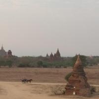 Bagan 21