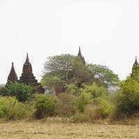 Bagan 9