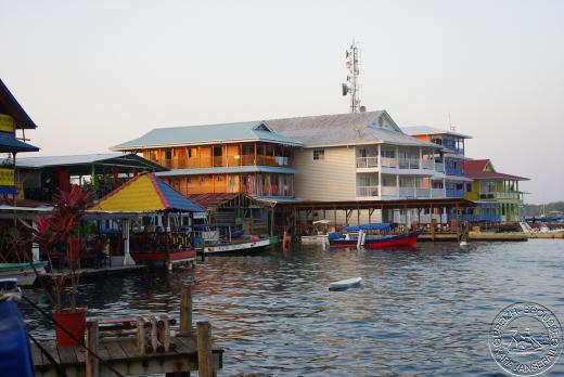 Bocas del toro