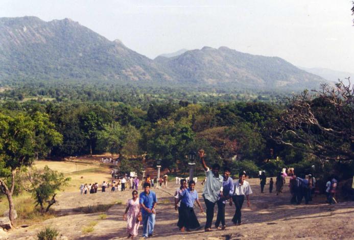 Dambulla 5