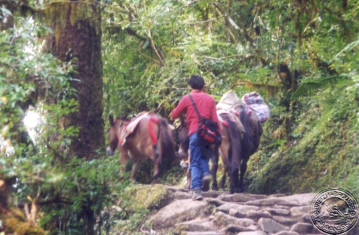 ghorepani-6.jpg