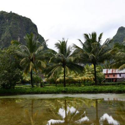 Kampung berua 2