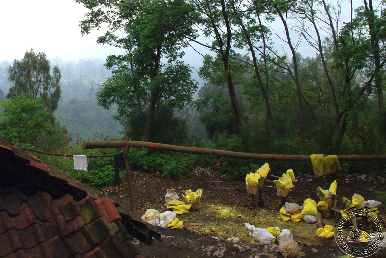 Kawah ijen 13