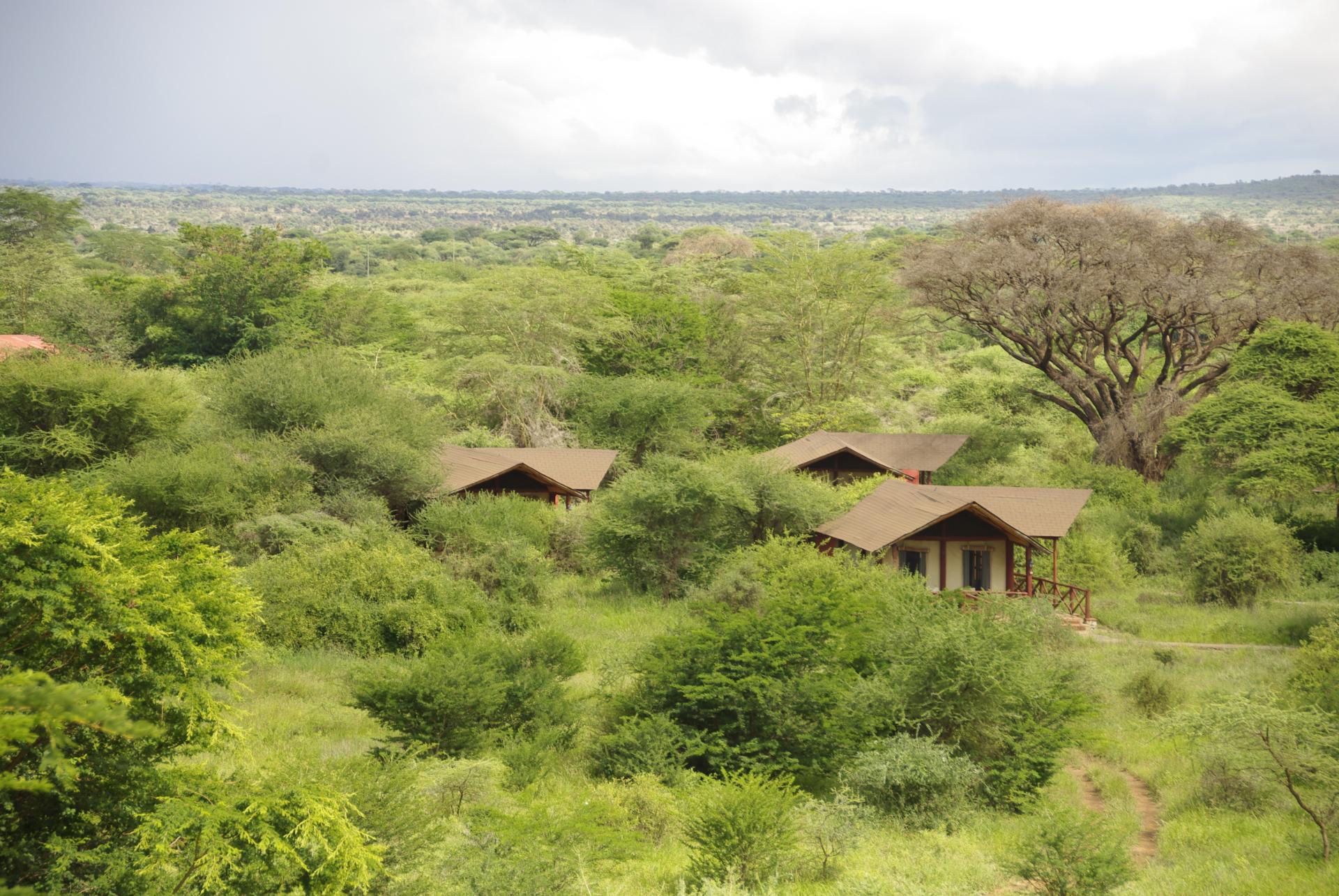 Kilima safari camp
