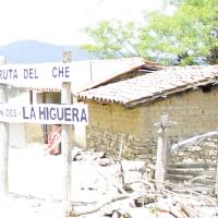 La higuera 5