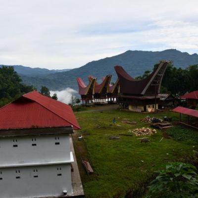 Lempe lolai 13