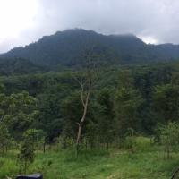 Merapi 2