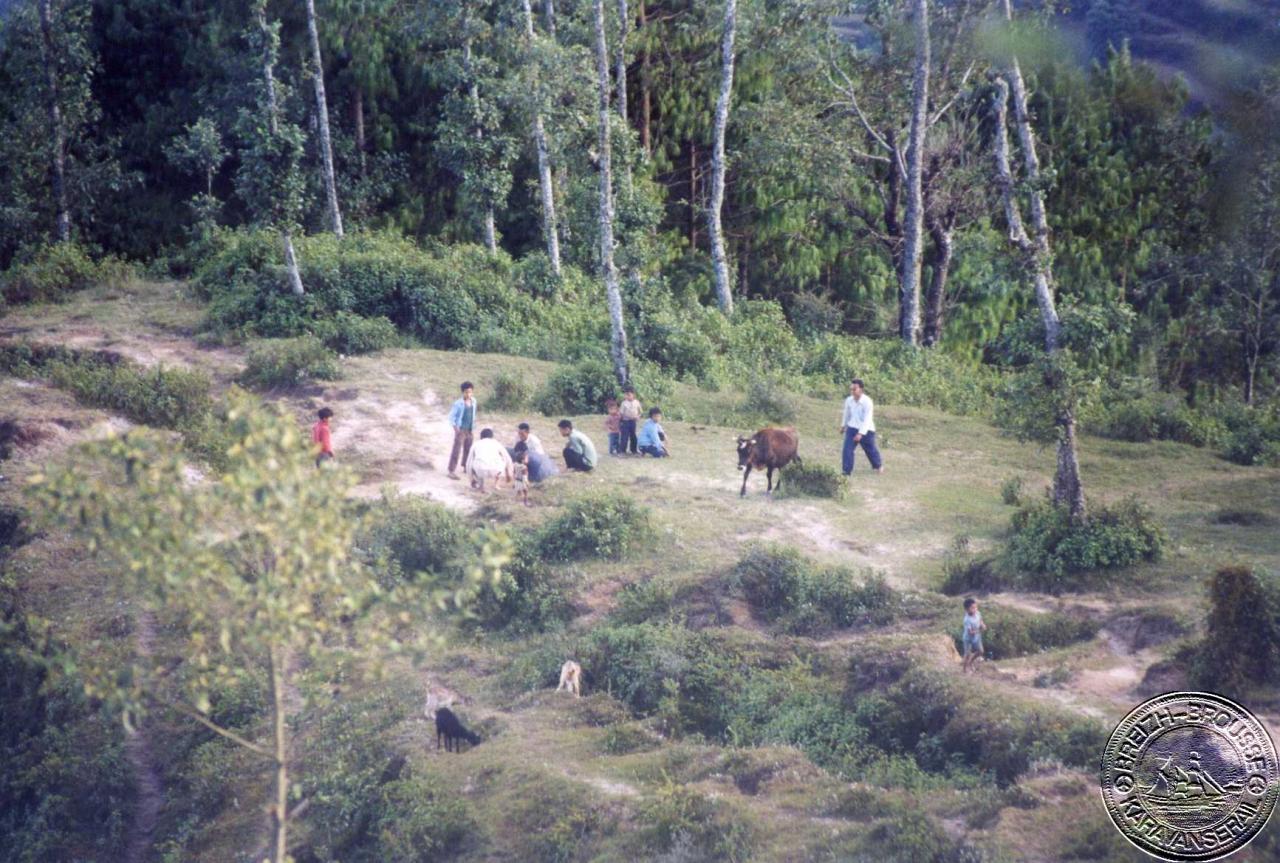 nagarkot-3-1.jpg