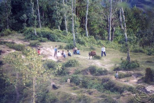 nagarkot