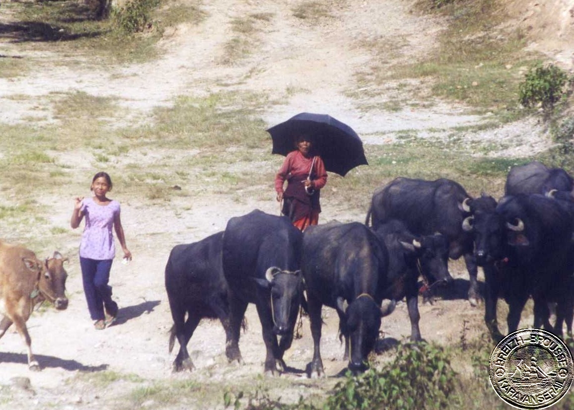 nagarkot-5-1.jpg