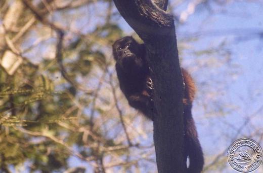 ometepe