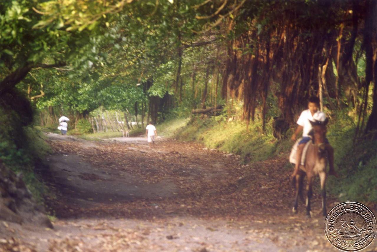 ometepe-5-1.jpg