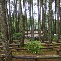 Panggung sekdah huttan