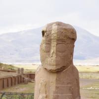 Tiwanaku 8