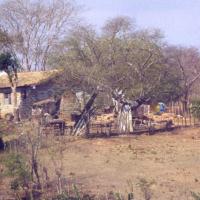 Vallee de los ingenios 8