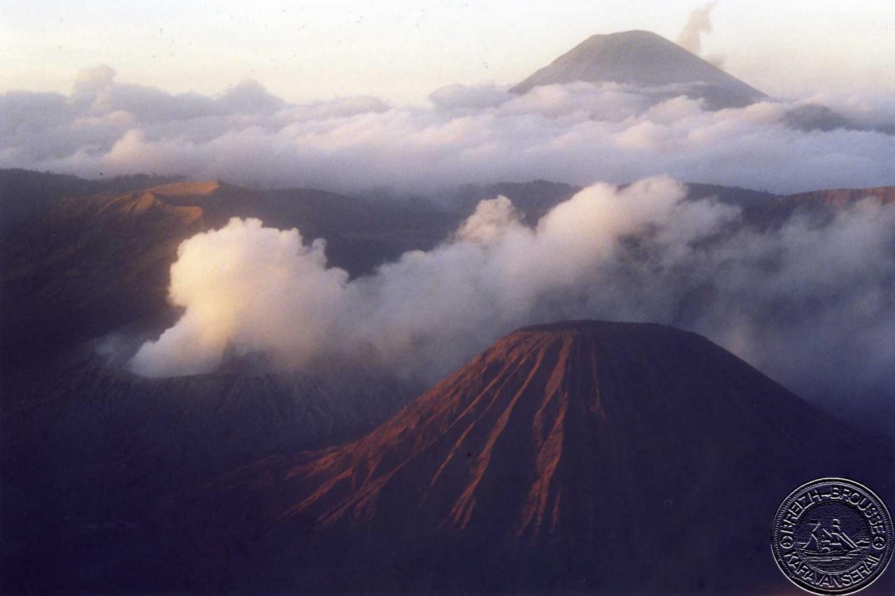 bromo